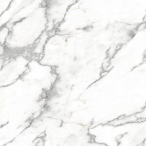 Dio Carrara Tile Company Wholesale