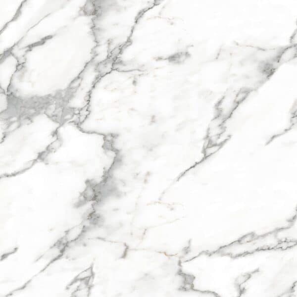 Dio Carrara Tile Company Wholesale