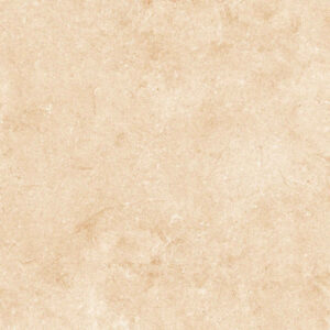 Star Beige