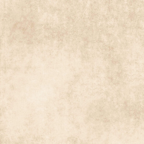 Jellico Marfil Concrete Bathroom Floor Tiles Manufacturer